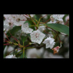 Small Flowers Print