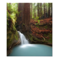 Small forest waterfall photographic print