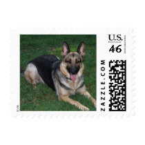 Small German Shepherd Postage