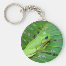 Small Green Frog Key Chains