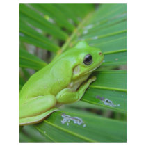 Small Green Frog Personalized Letterhead