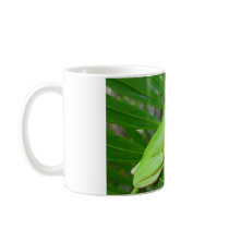 Small Green Frog Mug