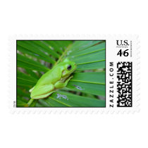 Small Green Frog Stamps