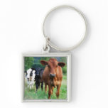 Small Herd of Three Cows Keychains