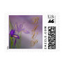 Small Iris RSVP