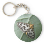 Small Magpie Moth Keychain