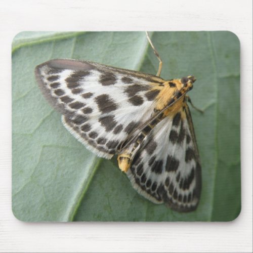 Small Magpie Moth Mousepad mousepad