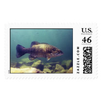 Small mouth bass postage by deannhilmoe Small mouth bass postage