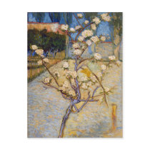 Small Pear Tree in Blossom, Vincent Van Gogh Post Card