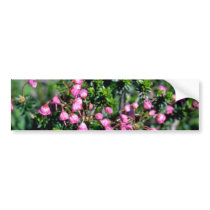 Small Pink Bell-Shaped Flowers flowers Bumper Sticker