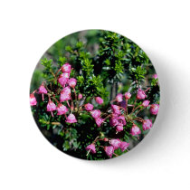 Small Pink Bell-Shaped Flowers flowers
