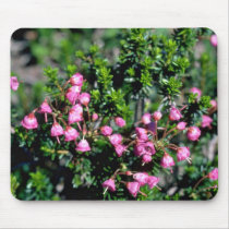 Small Pink Bell-Shaped Flowers flowers Mouse Pad