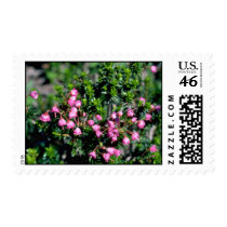 Small Pink Bell-Shaped Flowers flowers Stamp