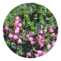 Small Pink Bell-Shaped Flowers flowers Stickers