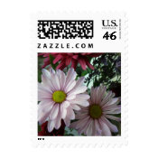 Small Pink Floral Postage stamp
