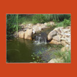 pond, waterfall, small, pretty, beautiful, flow,
