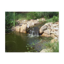Small Pond and Waterfall Postcard