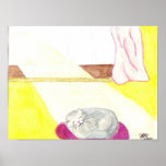 Small Poster Kitty Asleep in Sun