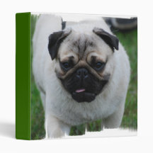 Small Pug Puppy Binder