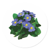 Small Purple Primroses stickers