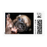 small reach postage