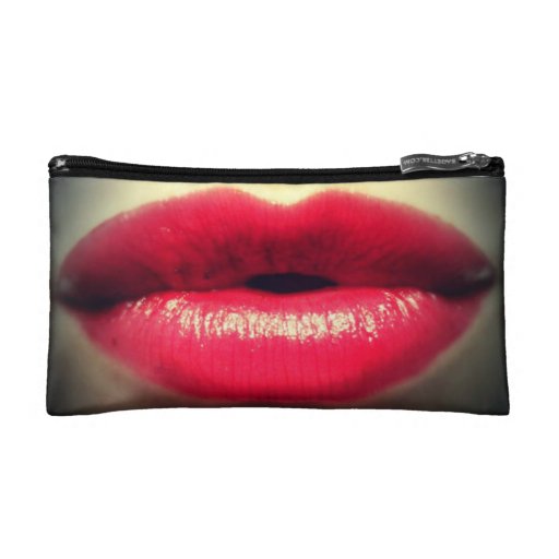small lipstick bag