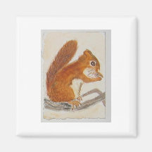 Small Red Squirrel via watercolor animal aceo Fridge Magnets