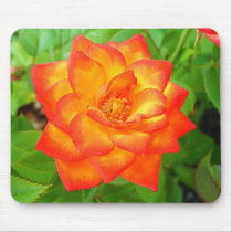 Small Red-Yellow Rose mousepads by princessklb07 Small Red-Yellow Rose mousepads