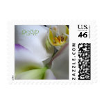 Small RSVP White Flower Wedding Postage Stamps stamp