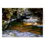 Small Stream/ Algeirs cards