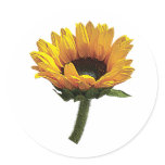 Small Sunflower stickers