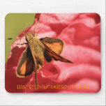 Small Surprises Mousepad mousepads