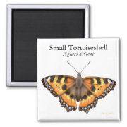 Small Tortoiseshell Butterfly Magnet magnet