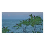 Small Trees on the Lakeshore Photo Card Template
