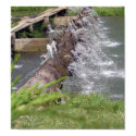 Small waterfall posters by bastilique Small waterfall posters