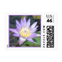 Small Waterlily Postage postage by dlgray Small Waterlily Postage postage