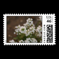 Small White  Flowers postage