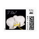 Small White Orchid On Black, I Do! postage