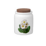 Small White Primroses Candy Dishes