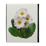 Small White Primroses iPad Folio Covers
