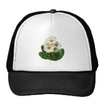 Small White Primroses hats