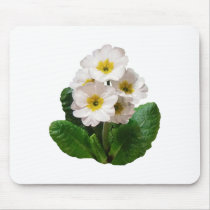 Small White Primroses mousepads