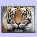 Small Wild Animal Faces Calendar 2012 calendars
