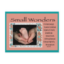 Small Wonders Postcard by MargotsDesigns Small Wonders Postcard