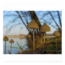 Small world (2) posters by Rainmountain Small world (2) posters