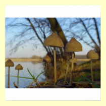 Small world (2) posters