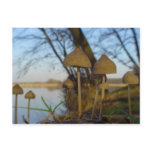 Small world - mushroom close up at lake postcards