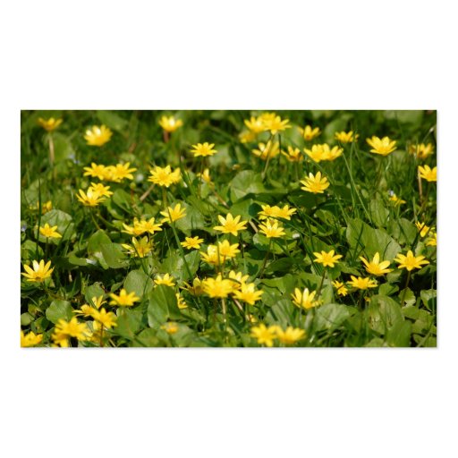 Small-yellow-flowers-in-grass1957 NATURE FLOWERS Y Business Card Template (back side)