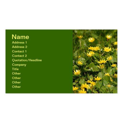 Small-yellow-flowers-in-grass1957 NATURE FLOWERS Y Business Card Template (front side)