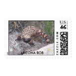 smaller, ARIZONA BOB Stamp